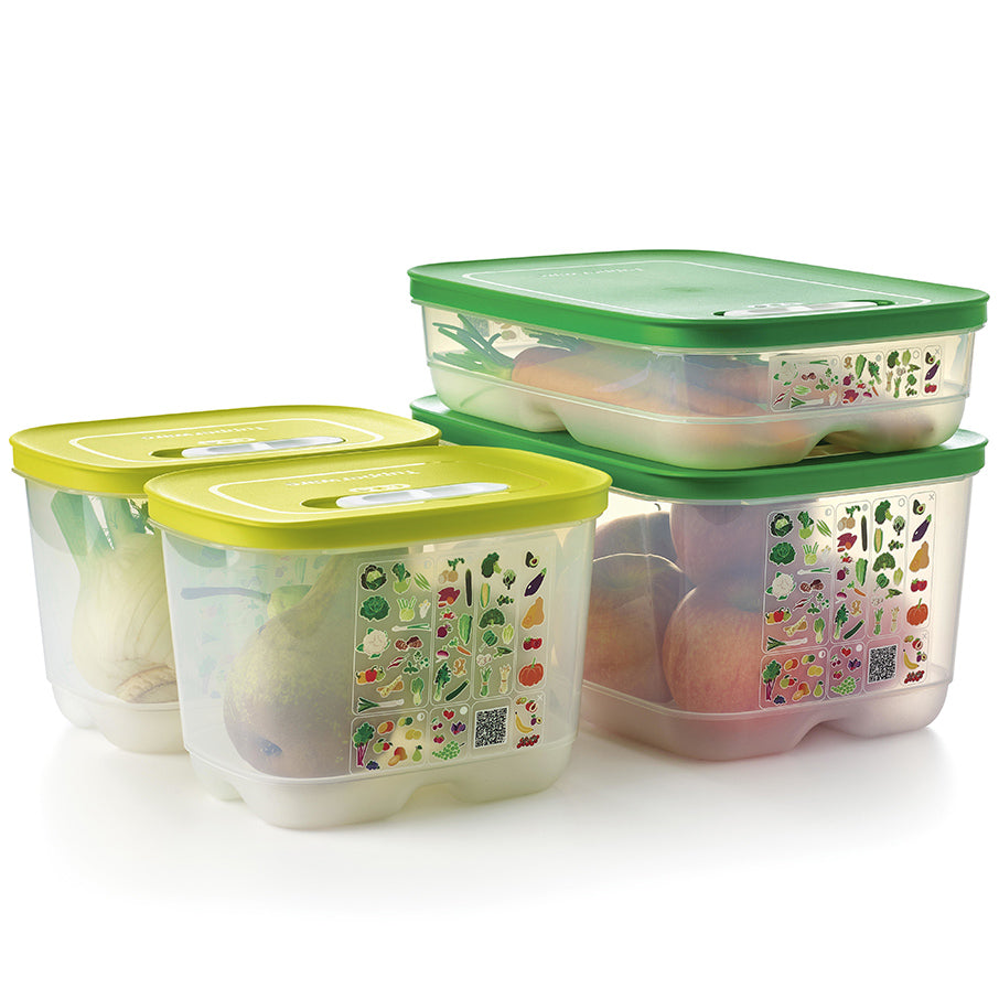 fridgesmart set de inicio de 4 piezas margarita pequeña y profunda verde invierno mediana mediana y profunda