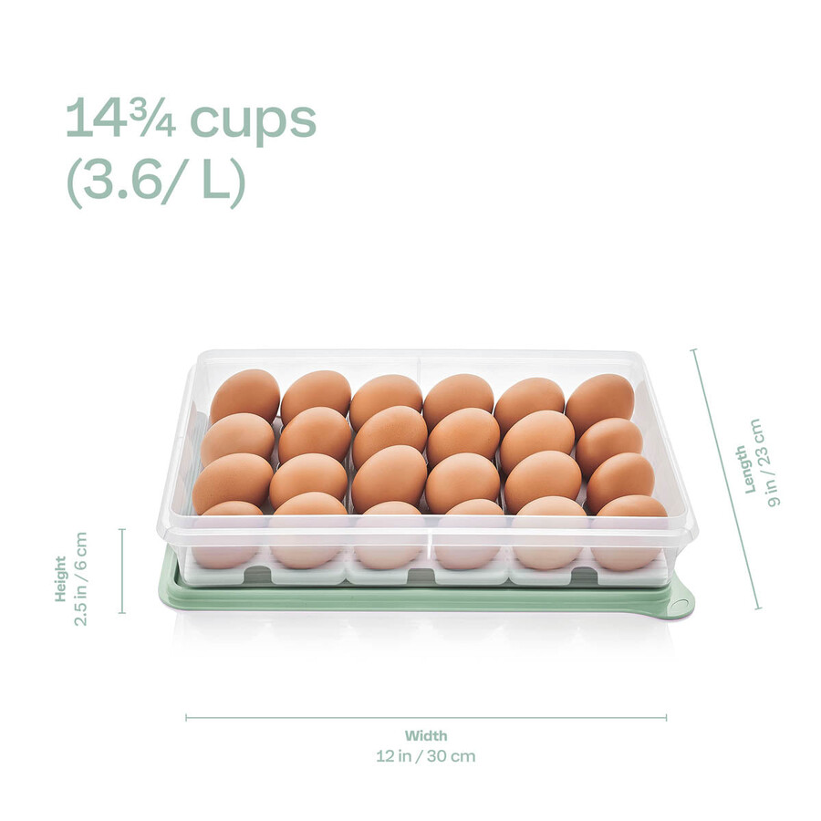 tupperware snack-stor recipiente grande para almacenar con bandeja para 3 huevos mora silvestre