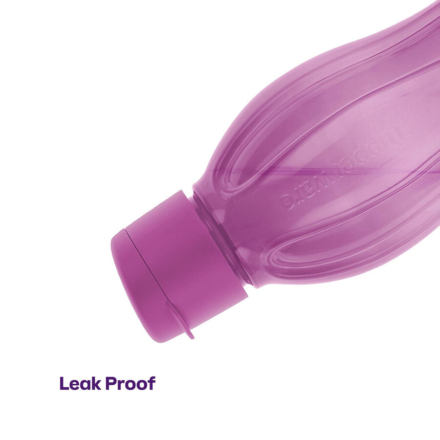 botella eco grande morada