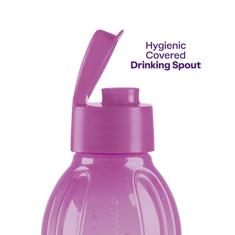 botella eco grande morada