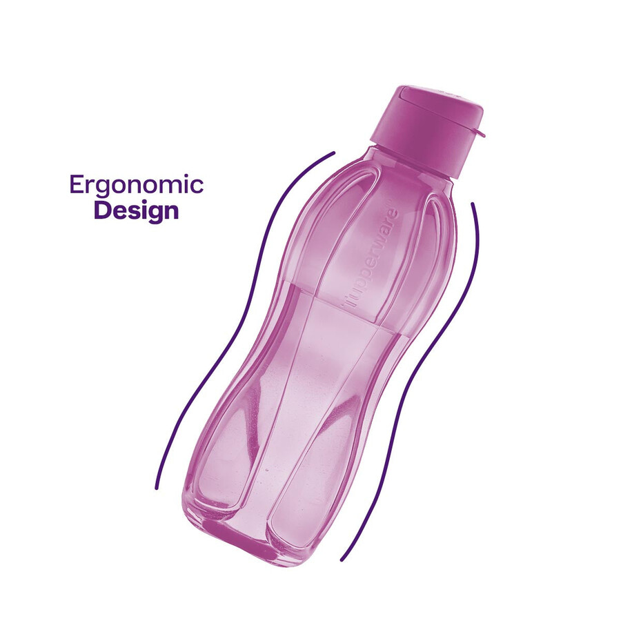 botella eco grande morada