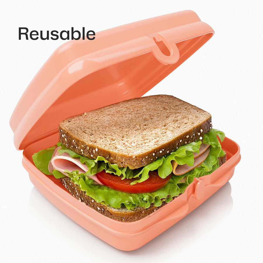 tupperware sandwich keepers - 2 loncheras fáciles de abrir para niños